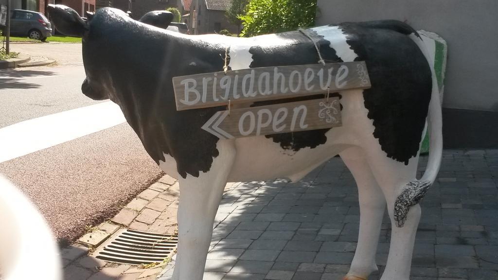 Brigidahoeve Maastricht Esterno foto